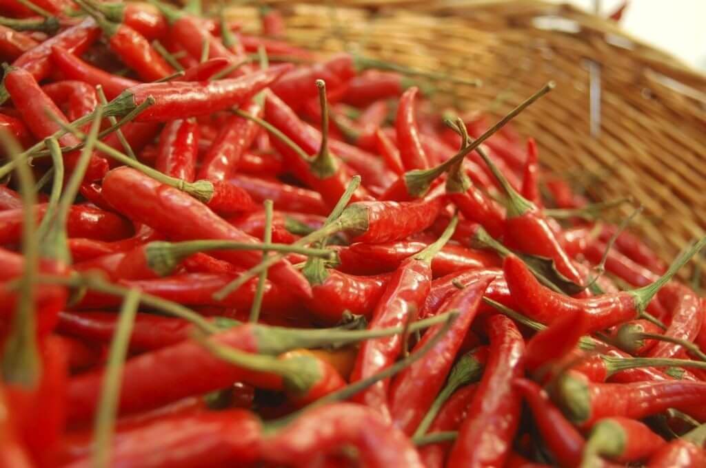 Chilli gets Jailtime Julie Meek